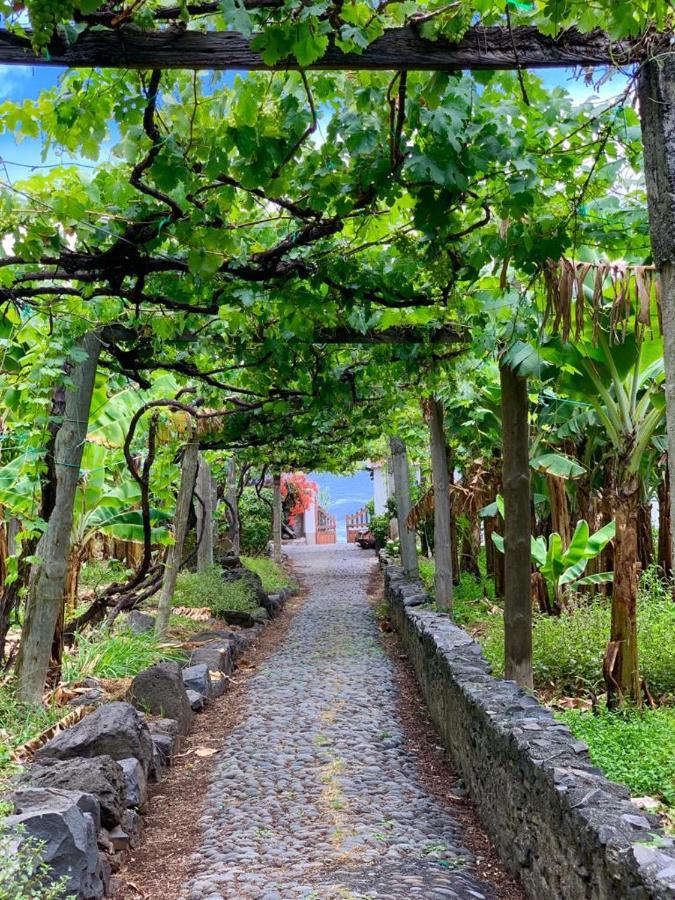 Faja Dos Padres Vila Ribeira Brava Exterior foto