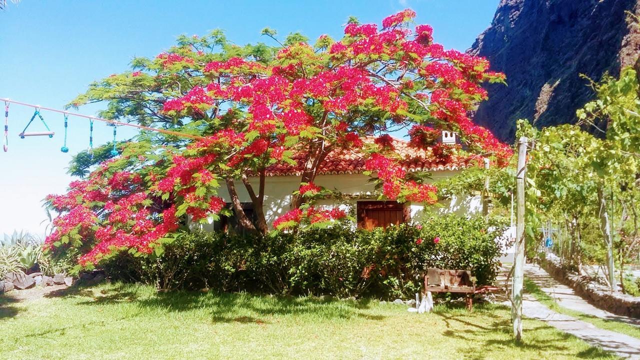 Faja Dos Padres Vila Ribeira Brava Exterior foto