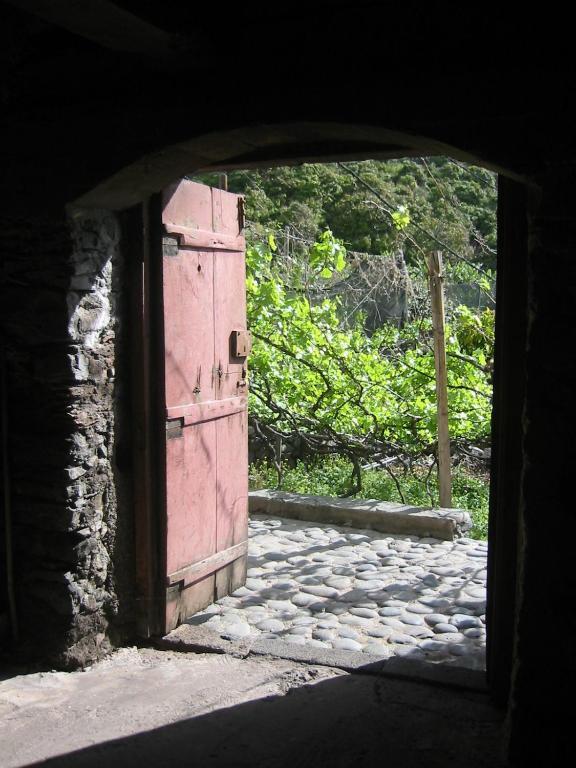 Faja Dos Padres Vila Ribeira Brava Exterior foto