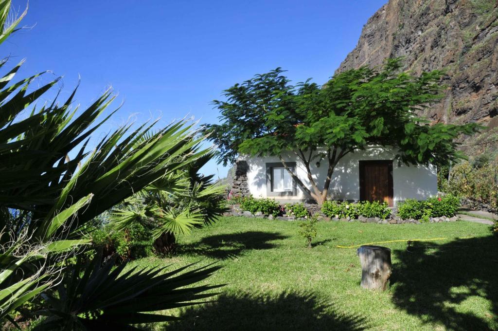 Faja Dos Padres Vila Ribeira Brava Exterior foto