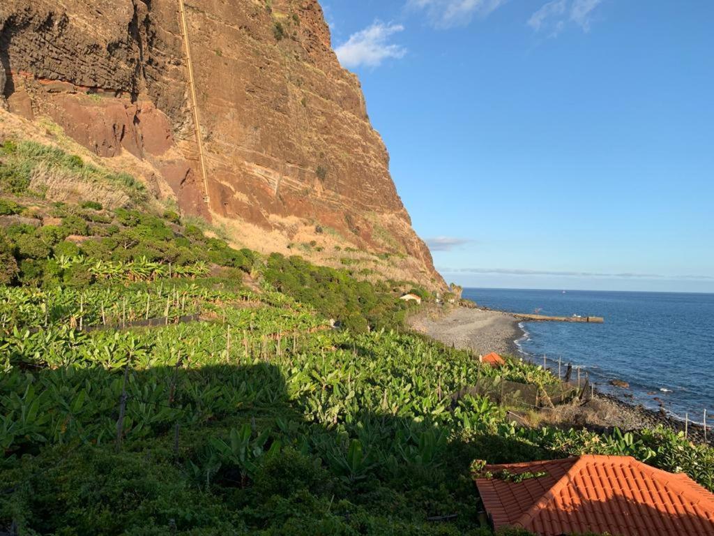 Faja Dos Padres Vila Ribeira Brava Exterior foto